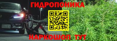 амф Вязьма